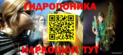 гидра Беслан