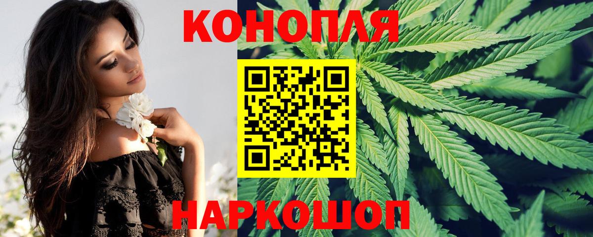 Марихуана гибрид  Конопля Ganja  Вход с VPN  Бошки марихуана конопля  Артём  Бошки Шишки марихуана 